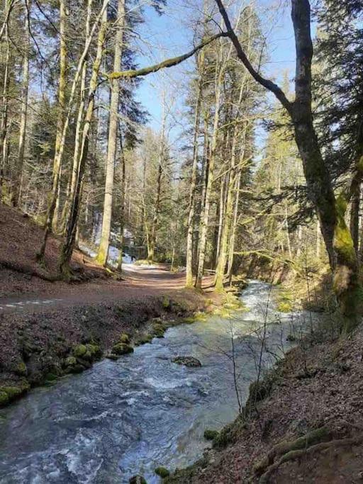 Renove Au Bord Du St Point Chalet