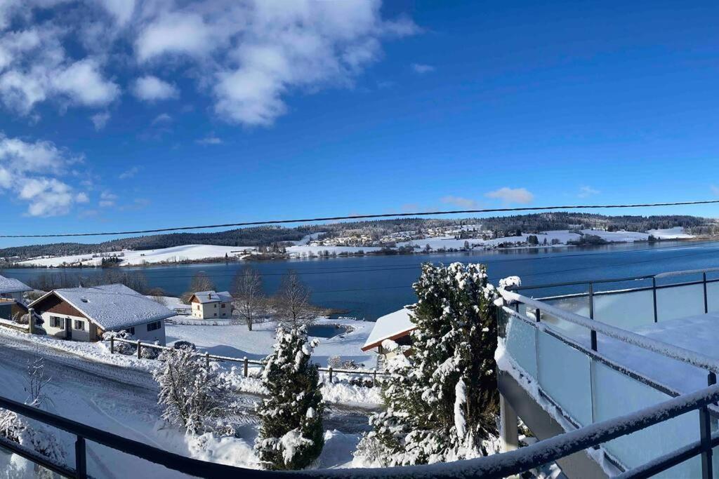 Renove Au Bord Du St Point *