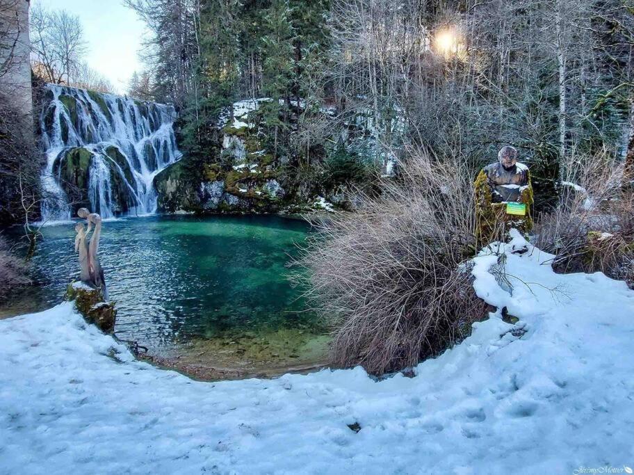 Renove Au Bord Du St Point *