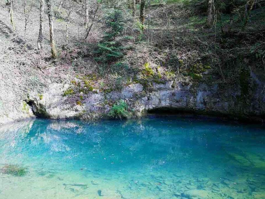 Renove Au Bord Du St Point Chalet