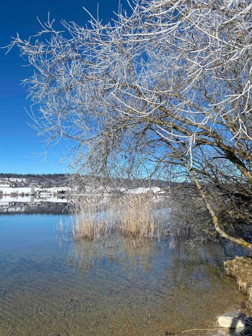 Renove Au Bord Du St Point *